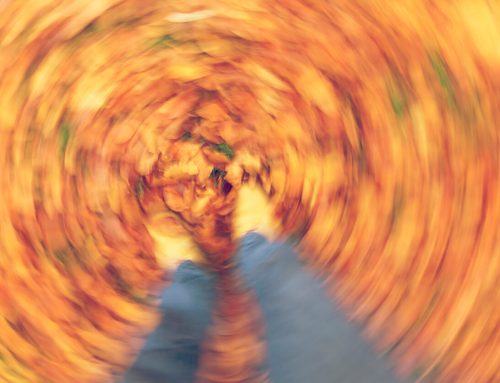 Vestibular Rehabilitation: How Physiotherapy can help with Dizziness and Balance Problems